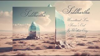 Siddhartha  The Four Divine States 2024 Full Album [upl. by Quintus]