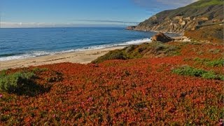 quotThe California Coastquot w Music 1 HR HEALING Nature Relaxation Video w Music 1080p [upl. by Llyrad459]