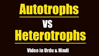 Differences Between Autotrophs amp Heterotrophs Urdu  Hindi [upl. by Ayeki]