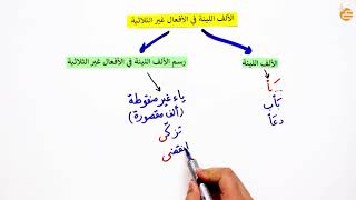 مراجعات عين  الالف اللينة في الأفعال غير الثلاثية [upl. by Ayle]