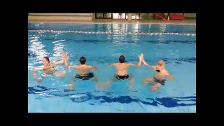 BPAAN RENNES 2016 Certif nat synchro [upl. by Summer]