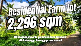 V64224 Alfonso cavite farm lot 3000 sqm coconut plantation along barangay road [upl. by Pegg]