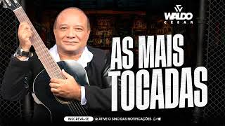 WALDO CÉSAR ╸AS MAIS TOCADAS ╸SUCESSOS INESQUECÍVEIS [upl. by Haraj491]