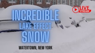 LIVE  LAKE EFFECT SNOW NEW YORK [upl. by Yuht]