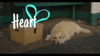 Heart  RSPCA Christmas Advert  2022 [upl. by Tatman]