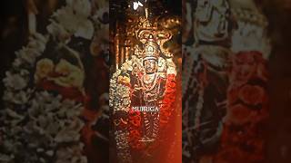 ALAGENDRA SOLLUKKU MURUGA🦚💚song devote devotional god status muruganGoddessworld [upl. by Jaco]