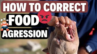 Dog Food Aggression How to Fix Step by Step [upl. by Leighton]