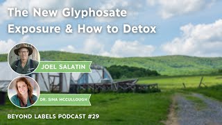 The NEW Glyphosate Exposure amp How to Detox Episode 29 [upl. by Ahsille]