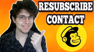 How To Resubscribe Contact In Mailchimp [upl. by Namruht]