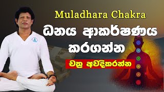 Quick 7 Chakra Cleansing 3 Minutes Per ChakraSeed Mantra Chanting MeditationYogaChamin Warnakula [upl. by Aihseit]