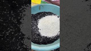 Fertilizer for plants shorts shortsfeed usateluguvlogs backyardgardening food [upl. by Alleuqahs]