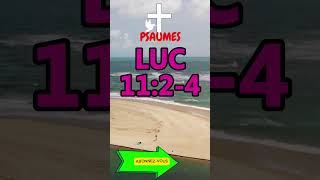 LUC 1124bible dieu jesus motivation verset video viral biblemessage psaume fypシ [upl. by Leahcimed]