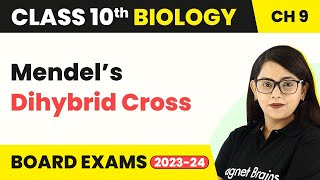 Class 10 Biology Chapter 9  Mendel’s Dihybrid Cross  Heredity And Evolution [upl. by Hisbe]