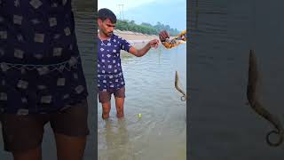 Chota jaal badi machli ka sikar fishhunting2 fishing machlipakadna fish machlipalankatarika [upl. by Adolfo]