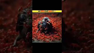 Kyun Crows Ko Ants Karte Hain Attack shorts viral islam factuneofficial [upl. by Amleht434]