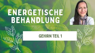 AurachirurgieENERGETISCHE BEHANDLUNG DES GEHIRNS TEIL 1 [upl. by Nnel]