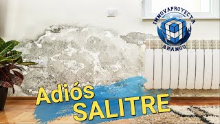 Curación de salitre [upl. by Lien]