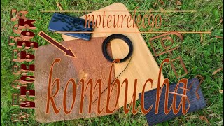 DiY  comment faire soimême son Cuir de Kombucha 100  naturel sans animal  Tuto simple [upl. by Anrym]