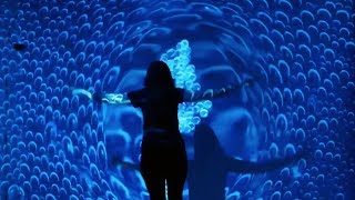 Illusion  immersive interactive art installation  Flutter Experience Art Gallery LA [upl. by Mcmaster]