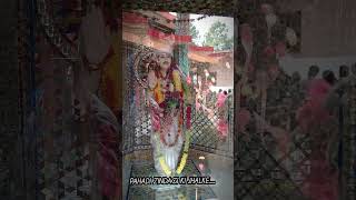 Gairar Golu Dham travel uttarakhand almora uttarakhandsanskriti [upl. by Rutan]