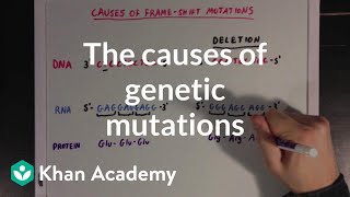 The causes of genetic mutations  Biomolecules  MCAT  Khan Academy [upl. by Adnor]