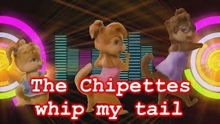 The chipettes  whip my tail [upl. by Donohue]