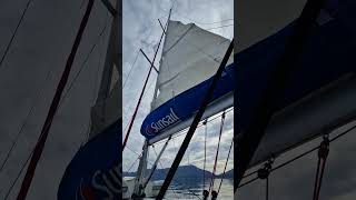 Silicone spray lubricated mainsail sliders This is how it should work [upl. by Yevreh]