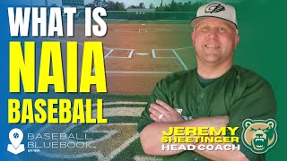 Revealed What Parents Need to Know About NAIA Baseball [upl. by Leod]