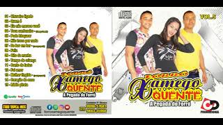 FORRÓ XAMEGO QUENTE VOL 05 CD COMPLETO 2018 [upl. by Gilbert]