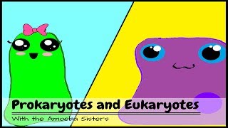 OLD VIDEO Prokaryotes and Eukaryotes [upl. by Baiss365]