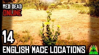 Red Dead Redemption 2 ONLINE  ENGLISH MACE LOCATIONS [upl. by Horick]