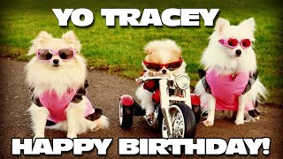 Happy Birthday Tracey [upl. by Kirchner]