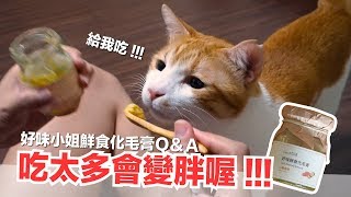 吃太多會胖的呀！一次吃一瓶？鮮食化毛膏的真實心得！【好味商店】EP8 [upl. by Lledo]