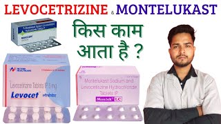 Levocetrizine hydrochloride and Montelukast tablet uses in Hindi  Wellness Gallery [upl. by Tat]