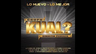 Grupo Kual Dinastia Pedraza  Rumba Frenesí [upl. by Elazaro]