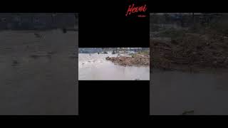 Devastating floods hit Masvingo masvingo floods [upl. by Cathee599]