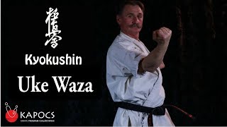 Enshin Karate Technique Sabaki Method Sensei Dino Kardas [upl. by Winnah]