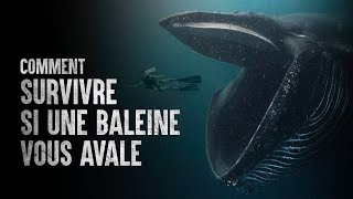 Comment survivre si une baleine vous avale [upl. by Anna-Diana]