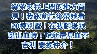 綠茶來我上班的地方買房！我跑前忙後帶她看20棟別墅！在我腳後跟磨出血時！說新房見血不吉利 要換仲介！ [upl. by Llerred]