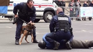 La Brigade Cynophile de la Préfecture de Police de Paris [upl. by Ludeman]