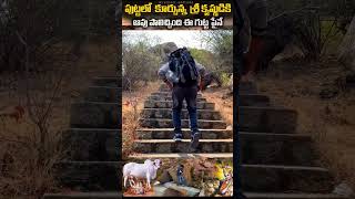 పుట్టలో కూర్చున్న శ్రీకృష్ణునికి ఆవు పాలిచ్చింది ఇక్కడే  Sri Varijala Venugopala Swamy Temple [upl. by Goodman]