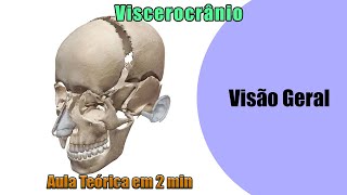 Todos os Ossos do Viscerocrânio  Aula Teórica  Anatomia  Anatomia Humana [upl. by Zindman511]