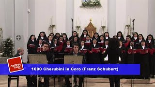 Coro delle Suore Sacramentine  1000 Cherubini in coro  Video Clip [upl. by Aleka]