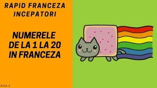 Franceza pentru incepatori2018  Numere in franceza de la 1 la 20 [upl. by Rimisac]