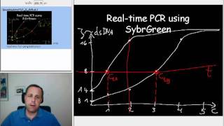 3Quantitative PCR  the deltaCt method [upl. by Inohtna]