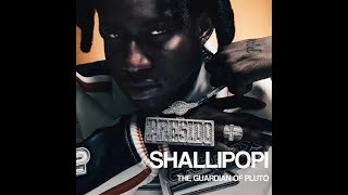 Shallipopi – Pluto Matter Money Na Water [upl. by Adnolat252]