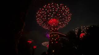 PampO World Cruise 2024  Singapore Gardens By The Bay Light Show unedited [upl. by Atinnod301]