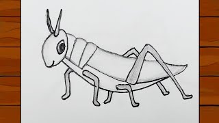 how to draw grasshopper step by step  grasshopper drawing  grasshopper chitra [upl. by Htebazie317]