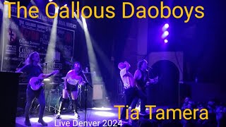 The Callous Daoboys  Tia Tamera Live 2024 [upl. by Olney335]