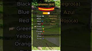 Colors in Spanish [upl. by Arsi]